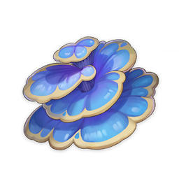 Rukkhashava Mushrooms